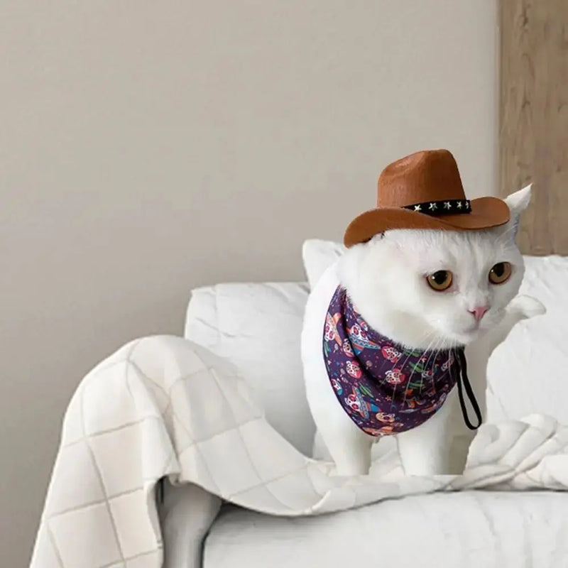 Chapéu Cowboy para Pets