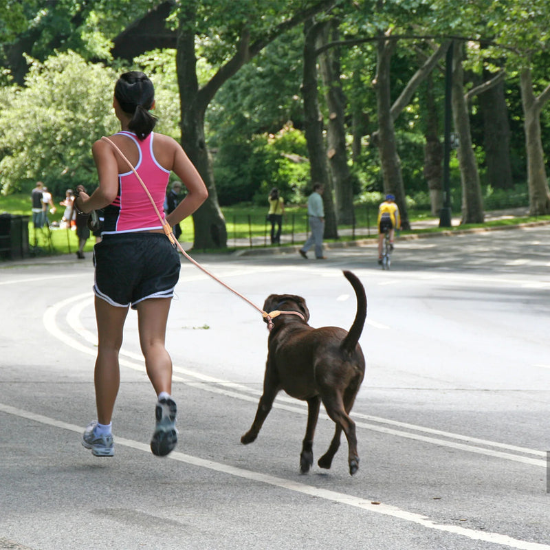 Coleira Mãos Livres Ajustável para Corrida e Caminhada